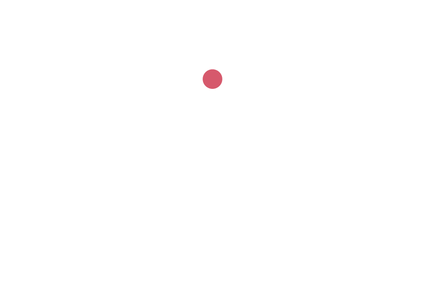 Full Stack Web Developer